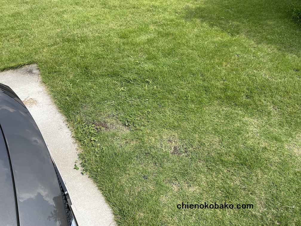 ダンゴムシが多いのよ21年夏 Q家のブログ 一条工務店で建てたロフト付の平屋注文住宅