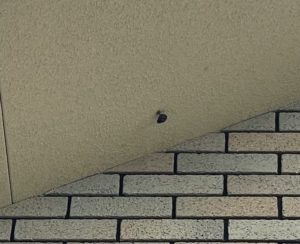 蜂の巣ができる場所に異変があるような Q家のブログ 一条工務店で建てたロフト付の平屋注文住宅